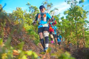 BIB: 22233
                            <button type="button" onclick="openModal(21837956)" class="btn btn-primary btn-sm float-right btn-popup" data-toggle="modal" data-target=".modal-high-quality">
                        <i class="fas fa-shopping-cart"></i> Add to Cart
                    </button>
                                            <button type="button" onclick="isThisMe(21837956, true)" class="btn btn-success btn-sm float-right btn-popup btn-isme hidden" data-toggle="tooltip" data-placement="bottom" title="นี่คือรูปของคุณใช่ไหม คลิกที่นี่เพื่อเอาเข้าอัลบั้ม">
                        <i class="fas fa-plus"></i> Add to album
                    </button>
                    <button type="button" onclick="isThisMe(21837956, false)" class="btn btn-warning btn-sm float-right btn-popup btn-isnotme hidden">
                        <i class="fas fa-ban"></i> Remove from album
                    </button>